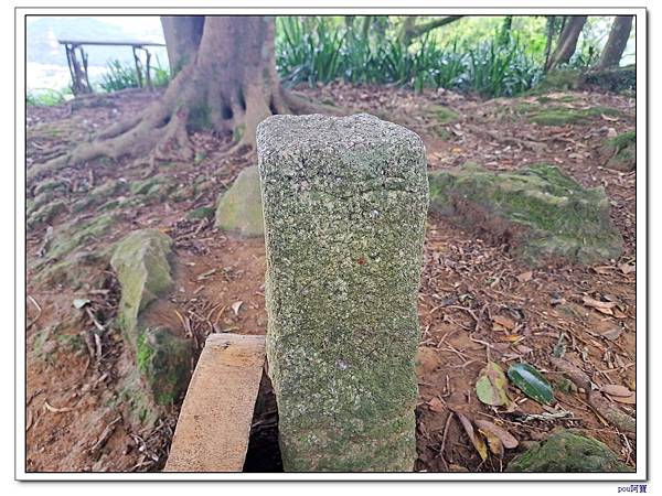 土城 大尖山 牛埔頭山