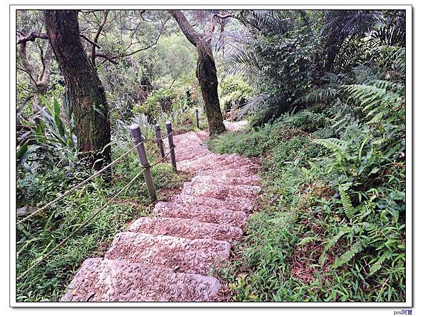 土城 大尖山 牛埔頭山