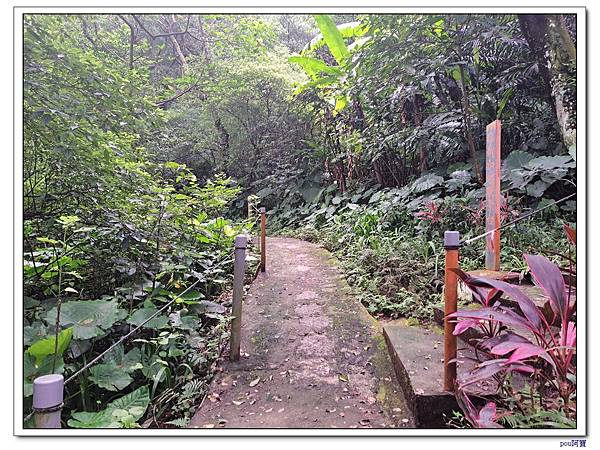 土城 大尖山 牛埔頭山