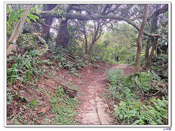 土城 大尖山 牛埔頭山