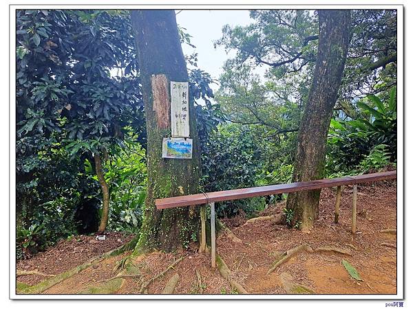 土城 大尖山 牛埔頭山