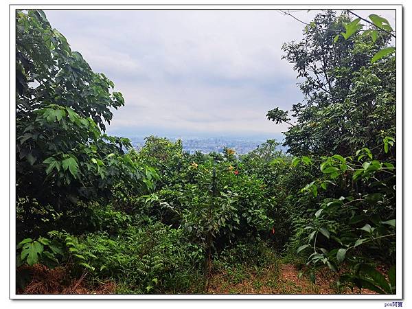 土城 大尖山 牛埔頭山