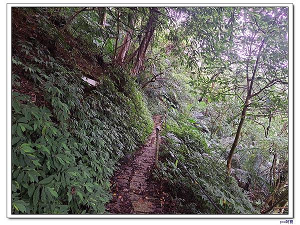 土城 大尖山 牛埔頭山