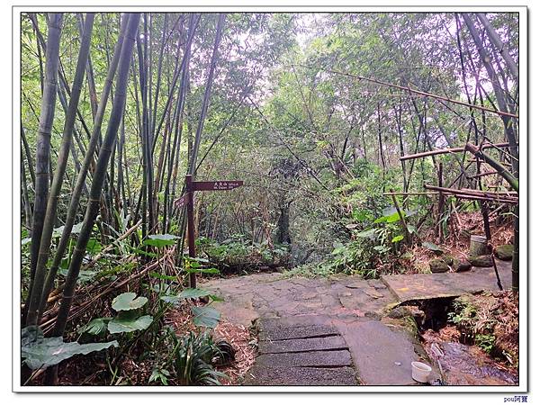 土城 大尖山 牛埔頭山