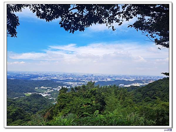 鶯歌 百年大榕樹 福源山步道