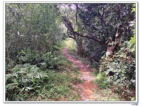 土城 石門內尖東峰 石門內尖山 火焰山