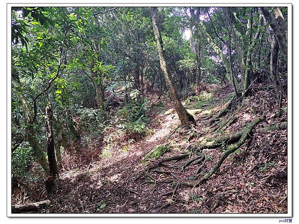 土城 石門內尖東峰 石門內尖山 火焰山