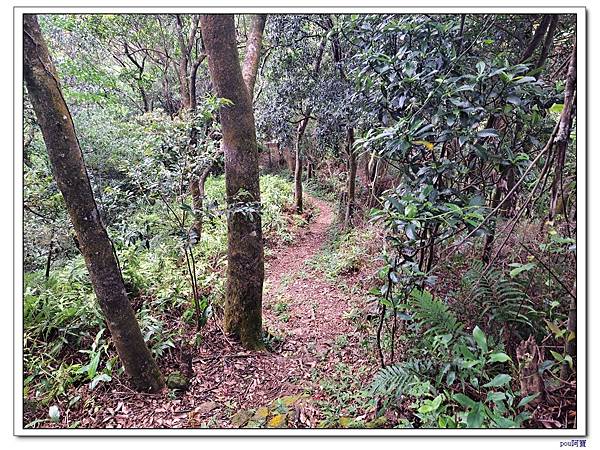 土城 石門內尖東峰 石門內尖山 火焰山