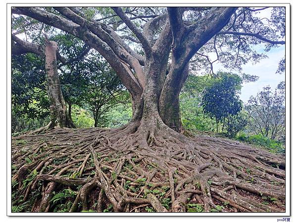 土城 石門內尖東峰 石門內尖山 火焰山