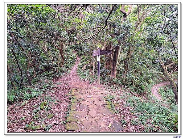 土城 南天母山 天上山