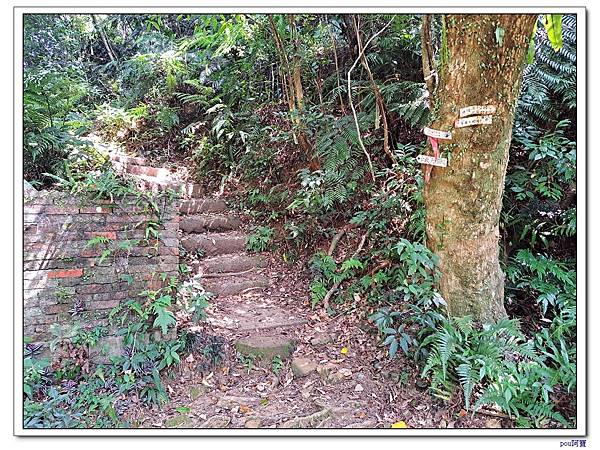 木柵 南邦寮山 二格山