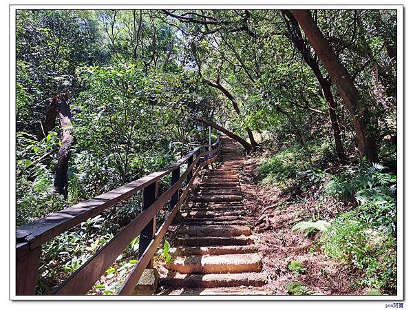 鶯歌 彰埔坑山 牛灶坑山 龜公山