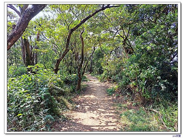 士林 文間山  劍潭山