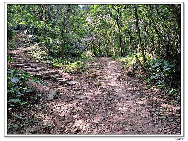 中和 圓通禪寺 牛埔頭山 五尖山