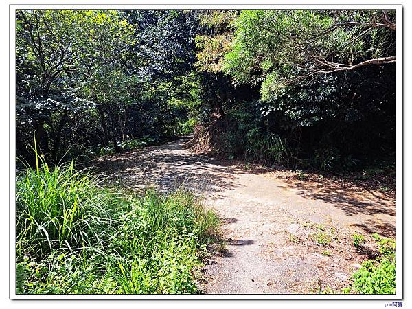 中和 圓通禪寺 牛埔頭山 五尖山