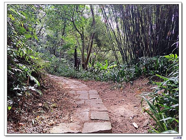 中和 圓通禪寺 牛埔頭山 五尖山