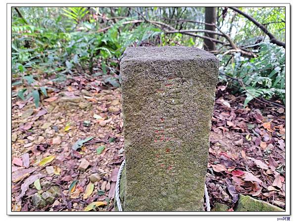 中和 圓通禪寺 牛埔頭山 五尖山