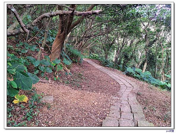 中和 圓通禪寺 牛埔頭山 五尖山