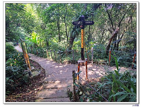 中和 圓通禪寺 牛埔頭山 五尖山