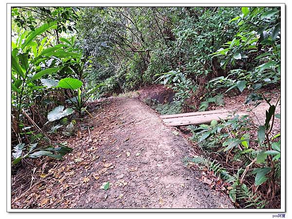 台北 富陽生態公園 中埔山東峰 軍功山 中埔山 福州山