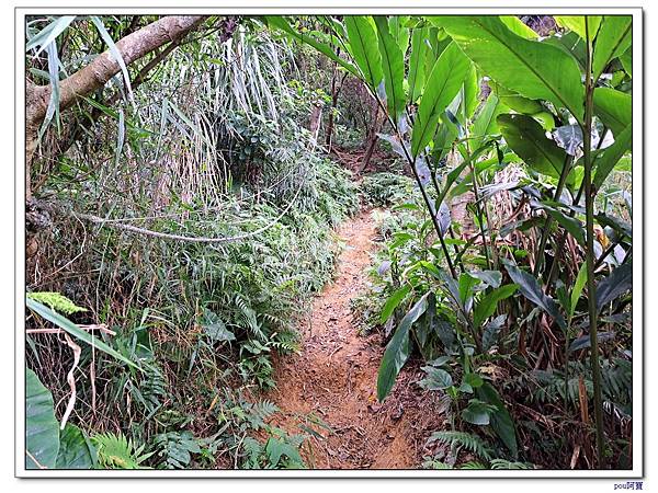 台北 富陽生態公園 中埔山東峰 軍功山 中埔山 福州山