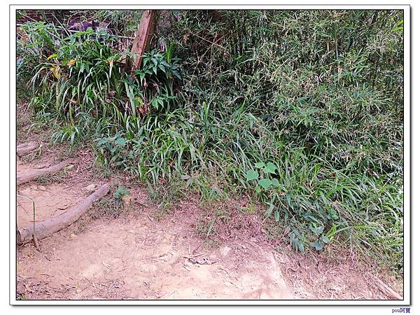 台北 富陽生態公園 中埔山東峰 軍功山 中埔山 福州山