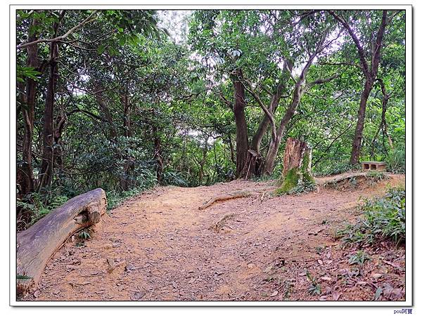 台北 富陽生態公園 中埔山東峰 軍功山 中埔山 福州山