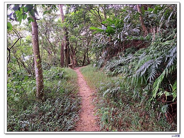 台北 富陽生態公園 中埔山東峰 軍功山 中埔山 福州山