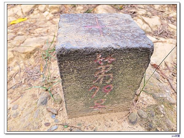 台北 富陽生態公園 中埔山東峰 軍功山 中埔山 福州山