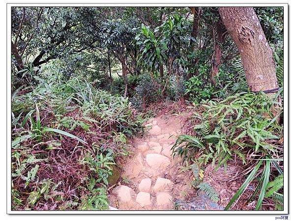 台北 富陽生態公園 中埔山東峰 軍功山 中埔山 福州山