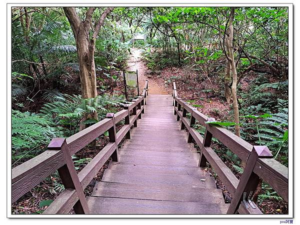 台北 富陽生態公園 中埔山東峰 軍功山 中埔山 福州山