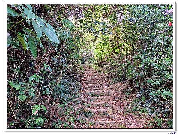 中和 南勢角山 五尖山