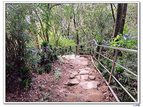 中和 南勢角山 五尖山