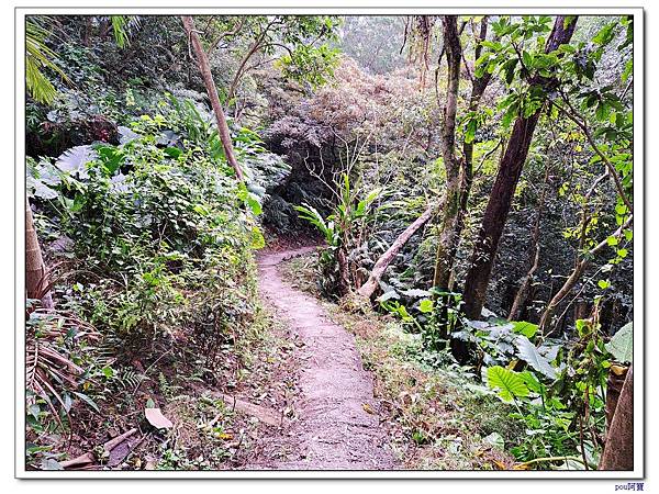 中和 圓通禪寺 牛埔頭山