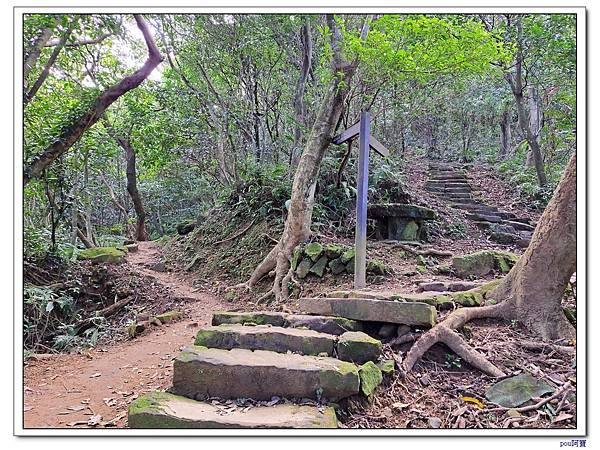 土城 南天母山 五城山 天上山