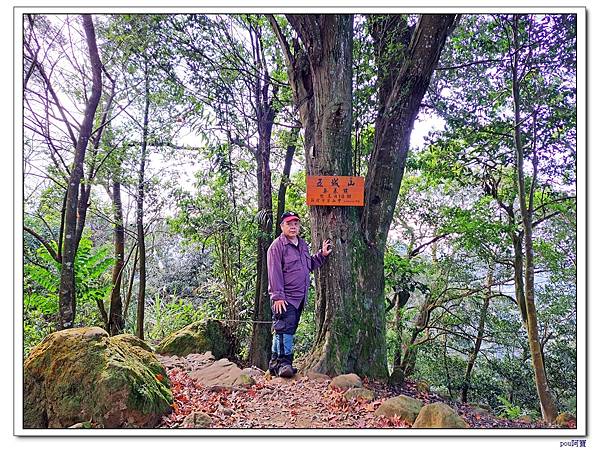 土城 南天母山 五城山 天上山