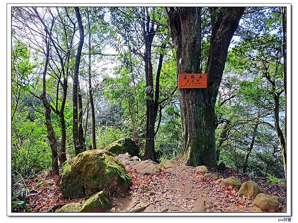 土城 南天母山 五城山 天上山