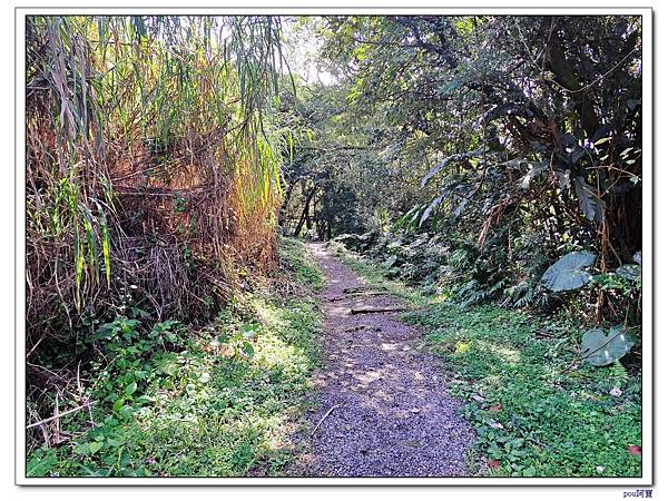 深坑 山豬淚湖 山豬窟尖 土庫岳東峰 土庫岳