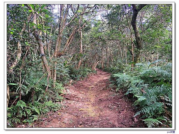 深坑 山豬淚湖 山豬窟尖 土庫岳東峰 土庫岳