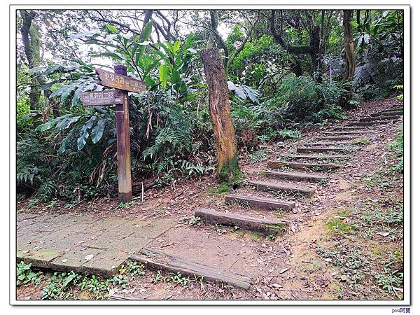 深坑 山豬淚湖 山豬窟尖 土庫岳東峰 土庫岳