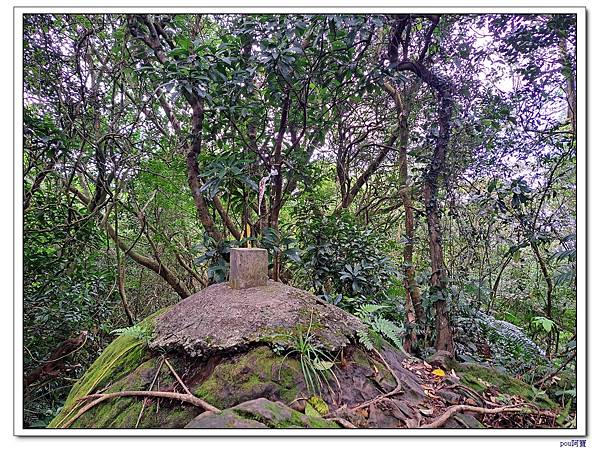 深坑 山豬淚湖 山豬窟尖 土庫岳東峰 土庫岳