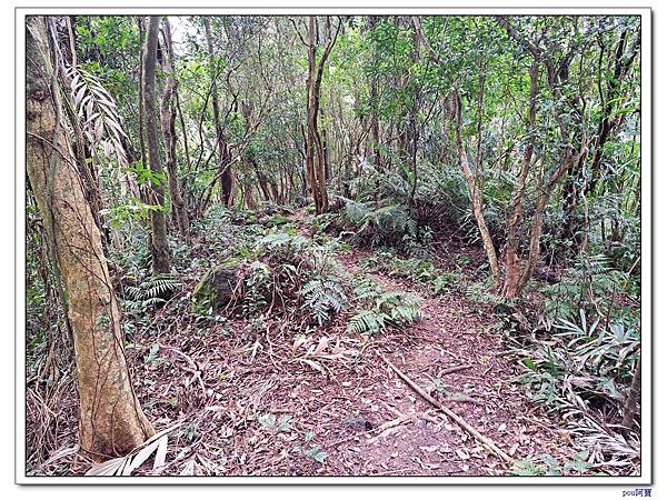 深坑 山豬淚湖 山豬窟尖 土庫岳東峰 土庫岳