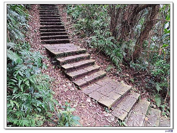 深坑 山豬淚湖 山豬窟尖 土庫岳東峰 土庫岳