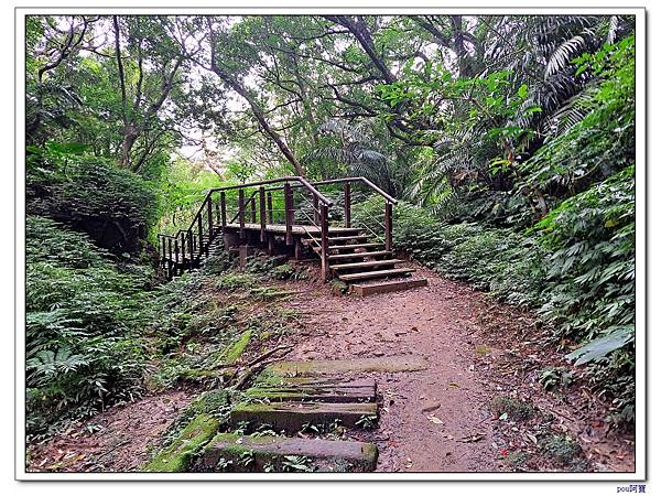 深坑 山豬淚湖 山豬窟尖 土庫岳東峰 土庫岳