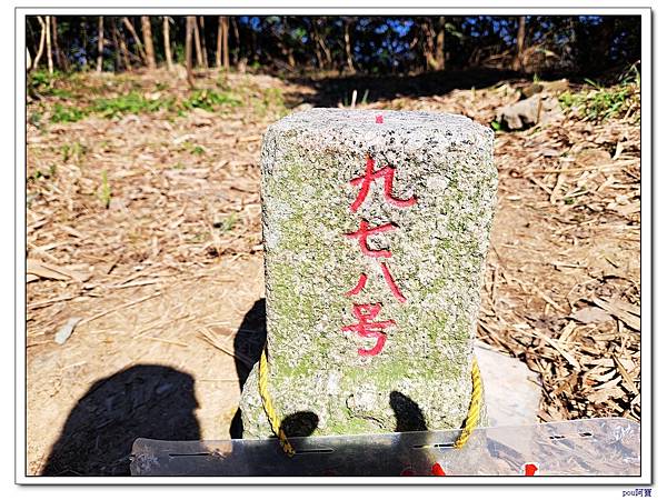 百年大榕樹 石灰坑山 大棟尾山 大湖頂山 大棟山