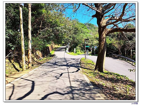 百年大榕樹 石灰坑山 大棟尾山 大湖頂山 大棟山