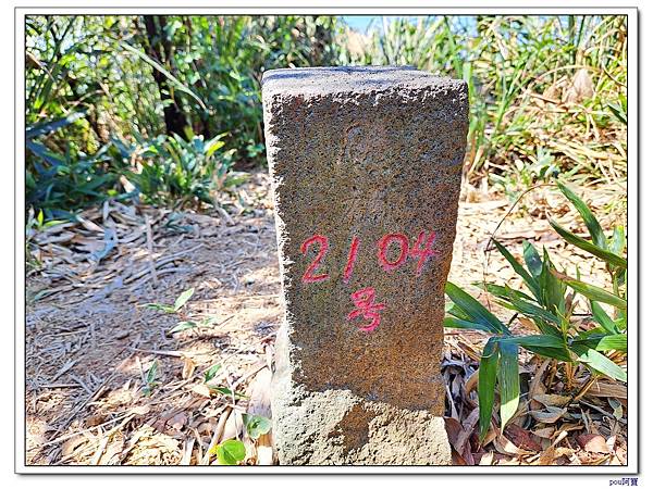 百年大榕樹 石灰坑山 大棟尾山 大湖頂山 大棟山