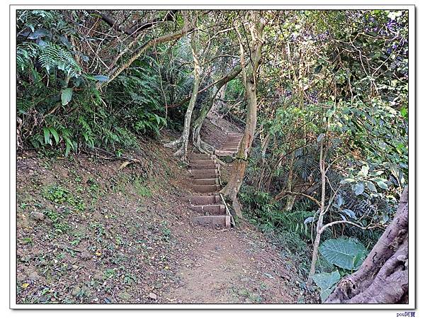 土城 南天母山 天上山 望月亭