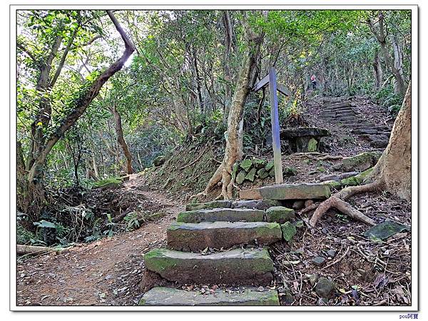 土城 南天母山 天上山 望月亭