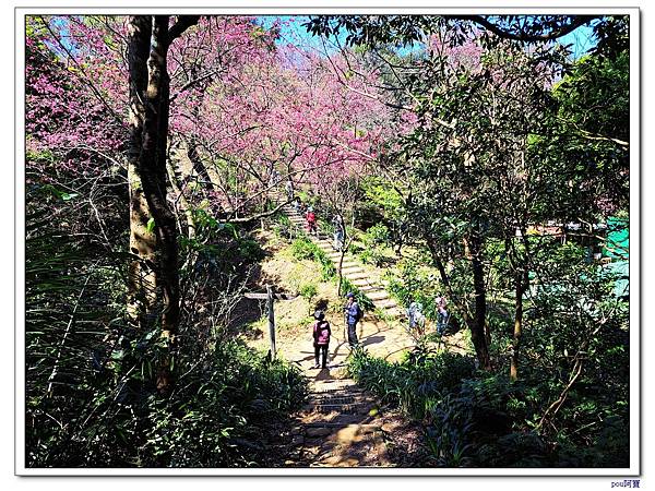 土城 十八分山 文筆山 五城山